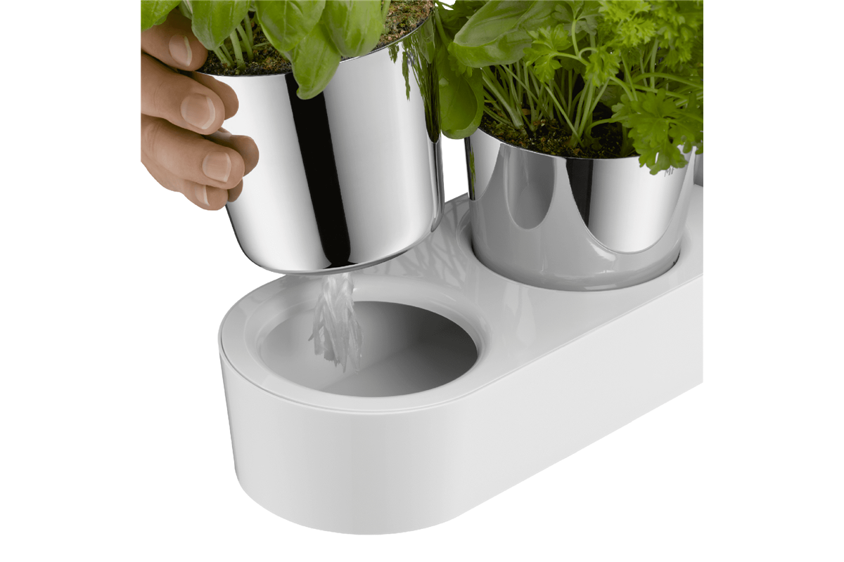 Bylinková zahrádka WMF Gourmet 641306040 (obrázek 5)