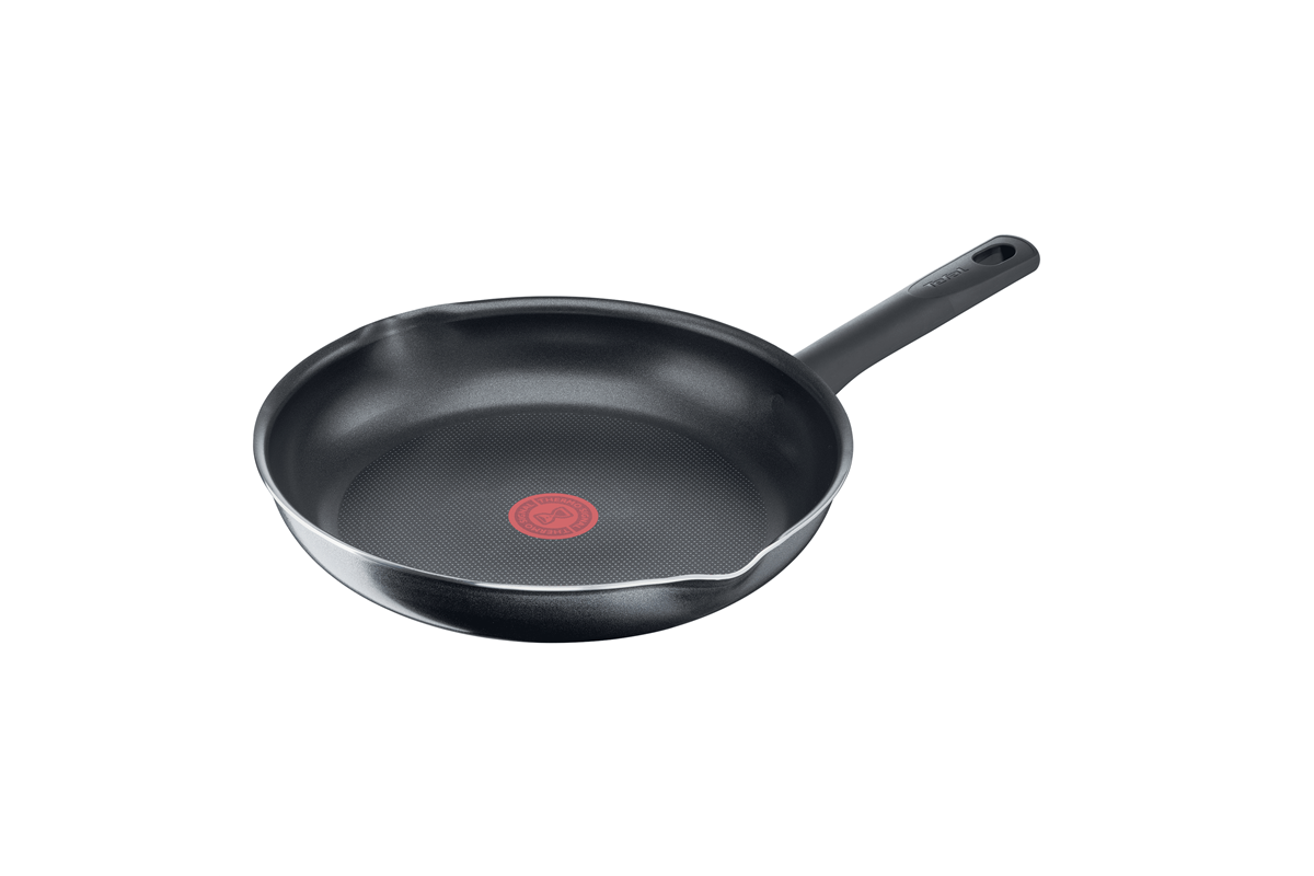E-shop Panvica Tefal Family Day B5660553 26 cm